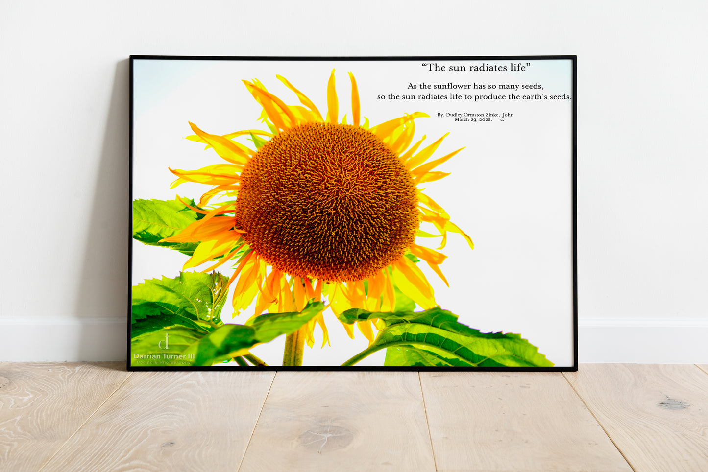 "The sun radiates life" Poem-Written by: Dudley Ormston Zinke (Digital Download)