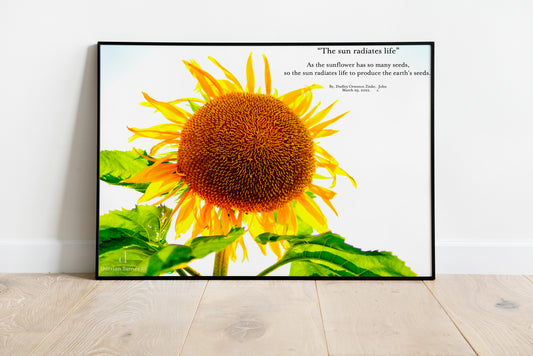"The sun radiates life" Poem-Written by: Dudley Ormston Zinke (Digital Download)